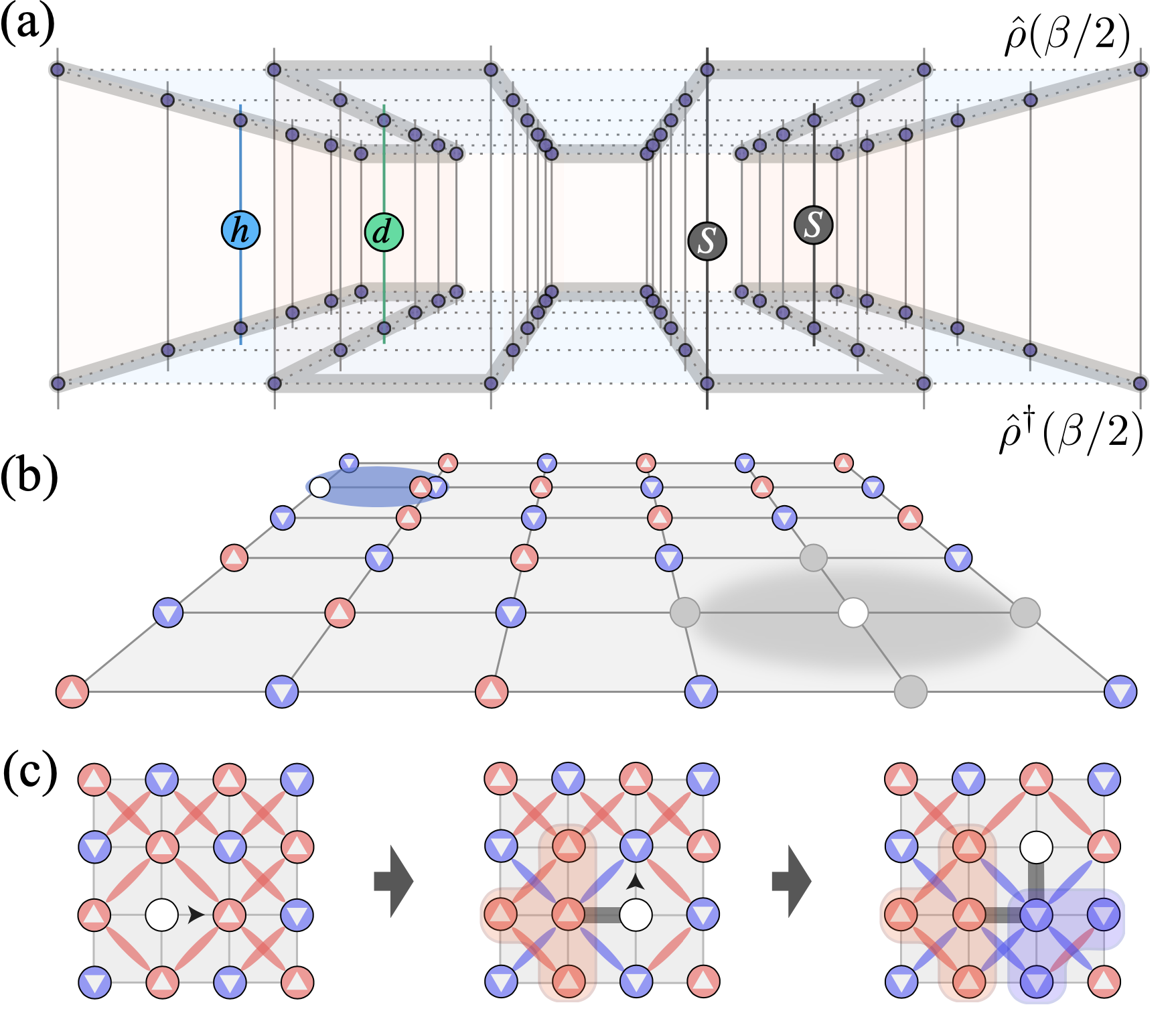 Quantum Many-Body Simulations Of The Two-Dimensional Fermi-Hubbard ...